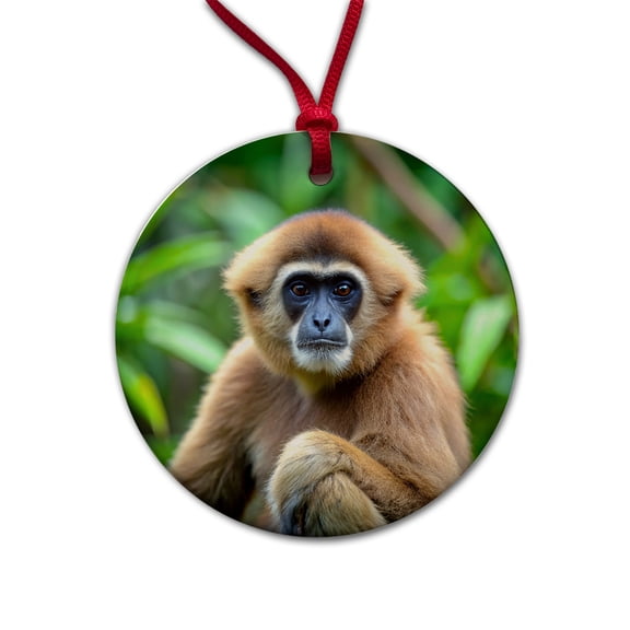 Muller's Gibbon Monkey Christmas Tree Holiday Round Ceramic Ornament