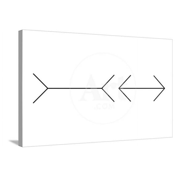 MullerLyer Illusion, Stretched Canvas Wall Art by Science Photo Library Sold by Art.Com