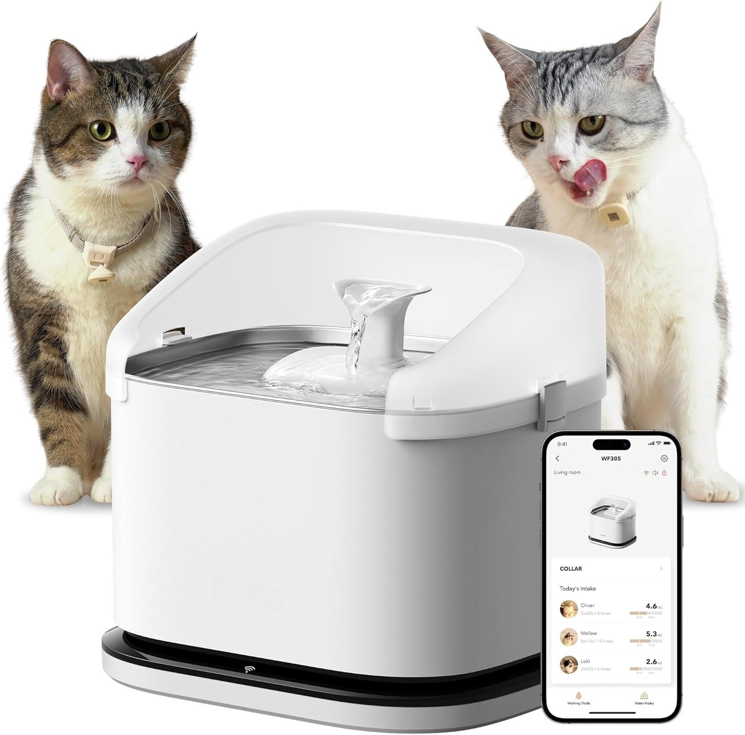 Multo Casts Multi Cats Water Fountain with Recognition & Hydration , Pump- Water ...