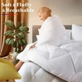 thumbnail image 1 of Multi Color 2-Tone Reversible Comforter Set, 1 of 5