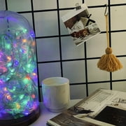 Multi-Color 40 LEDs Twinkle Lights Wedding Christmas String Fairy Lighting 15FT by Perfect Holiday