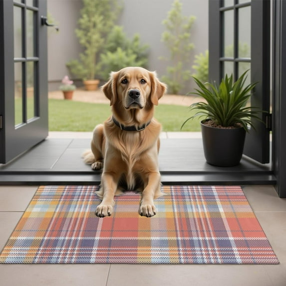 Multi Color Checkerboard Checkered Pattern Door Rugs,Washable Non Slip Door Mats Indoor,Decorative Door Mats,Entry Mat Indoor for Entrance,Bedroom,Kitchen,Bathroom,20"x32"