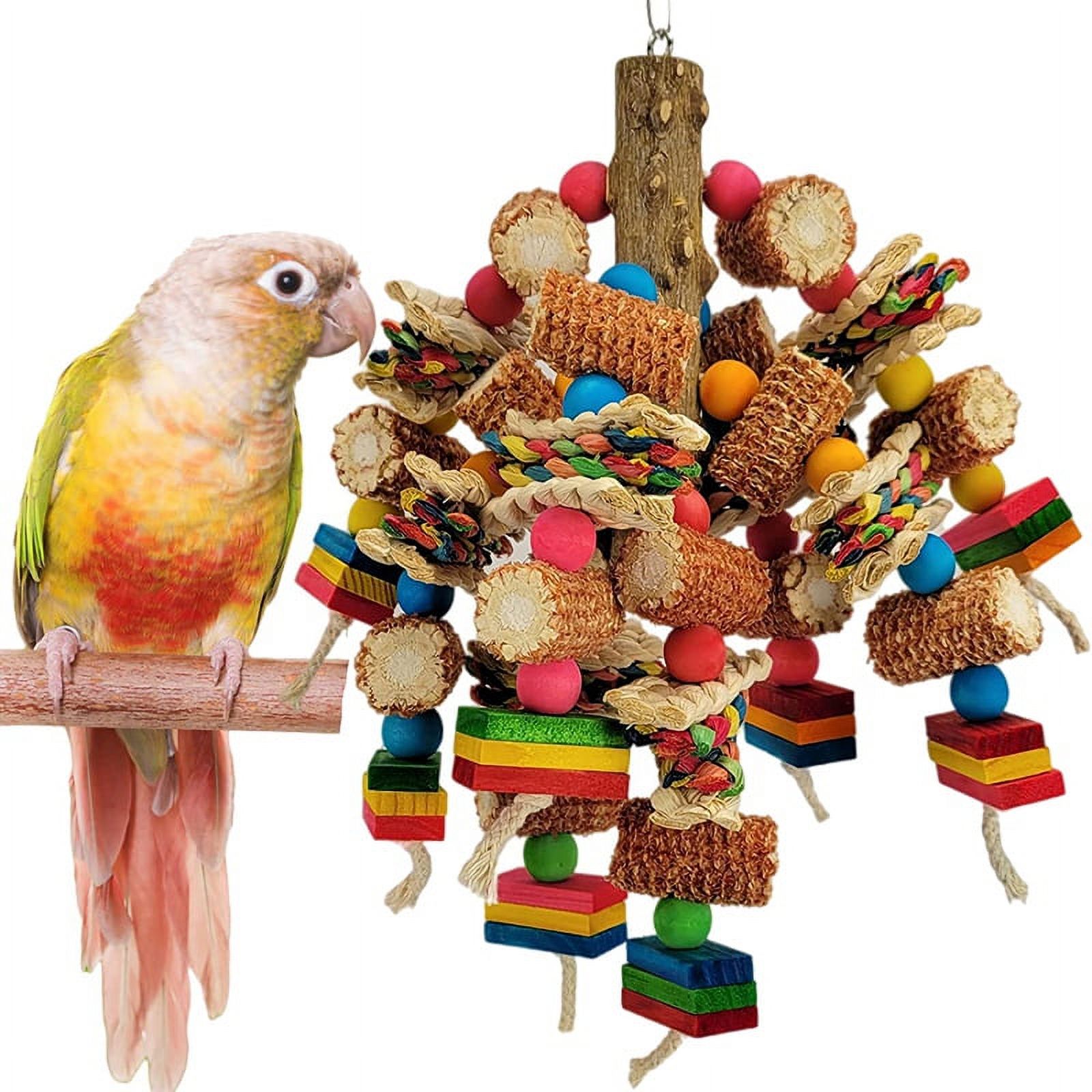 MultiColor Wooden Block Bird Toys, Natural Parrot Chew Toys for