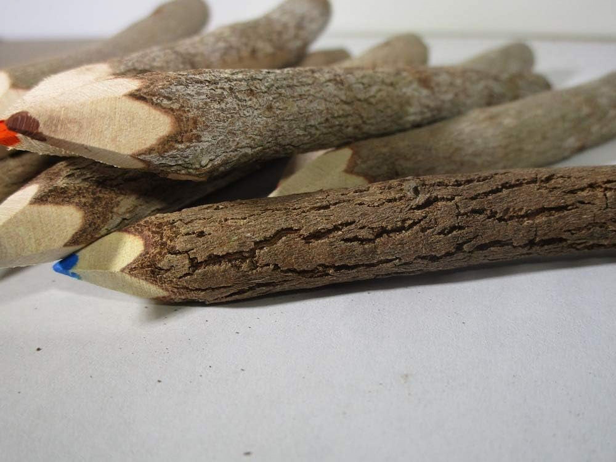 Multi Colored 12 Pencil Pack Wood And Twig Branch Pencils 5 Inch