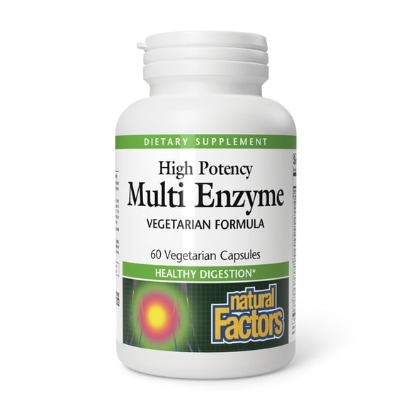 Natural Factors High Potency Multi Enzyme Vegetarian Formula, Plant-Based Digestive Aid, 60 Capsules