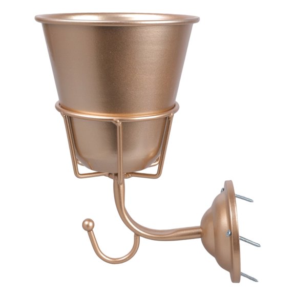 Multi Function Wall Mounted Brass Container Ideal for Flowers and Key