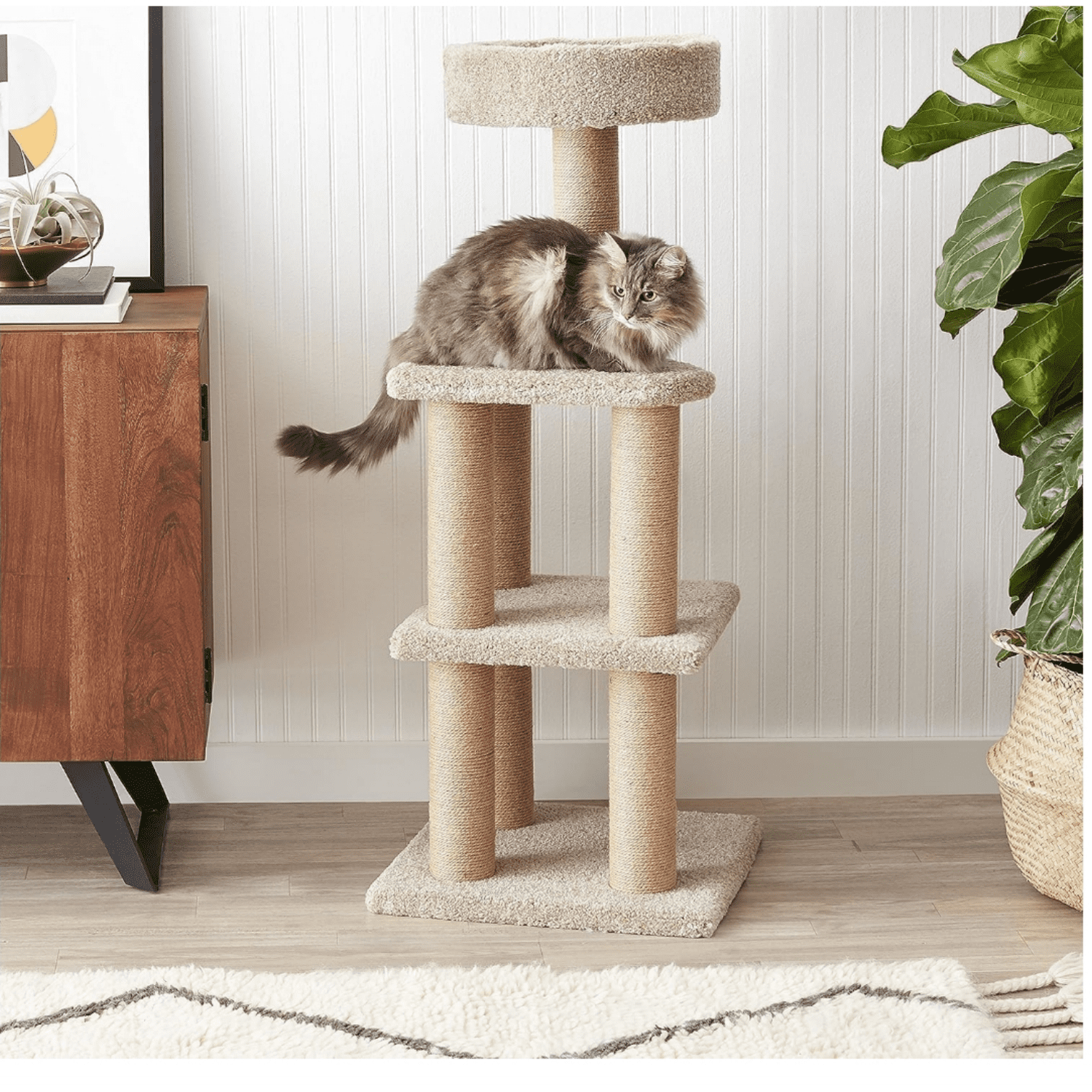 Multi-Level Climbing Activity Center for Indoor Cats & Kittens with Scratching Posts, Platform, Jute Rope, Large (45.9"H), Beige
