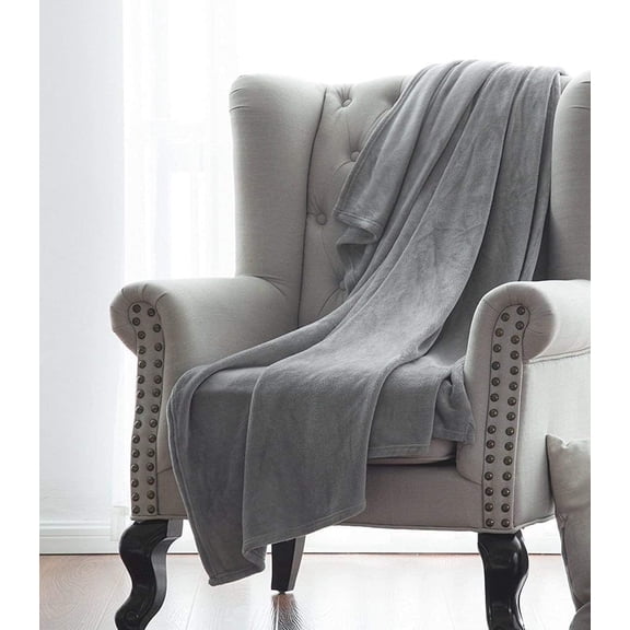 Multi-Purpose Super Soft Small Plush Solid Lightweight Throw Blanket 50" x 60" - Silver