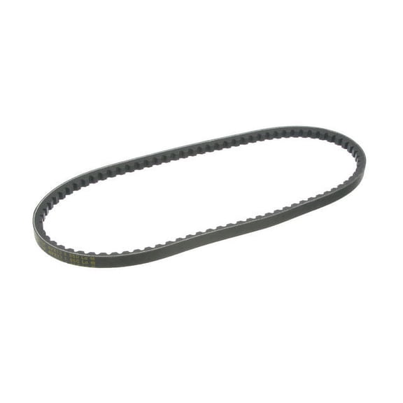 Multi Rib Belt - Compatible with 1984 - 1987 Honda Civic 1985 1986