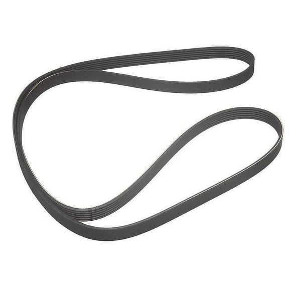 Multi Rib Belt - Compatible with 1987 Mercedes-Benz 300TD