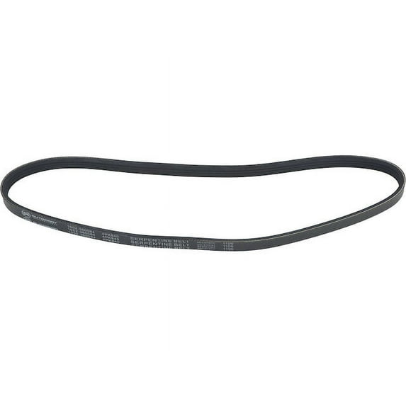 Multi Rib Belt - Compatible with 1989 - 1994, 2000 - 2006 Nissan Sentra 1990 1991 1992 1993 2001 2002 2003 2004 2005