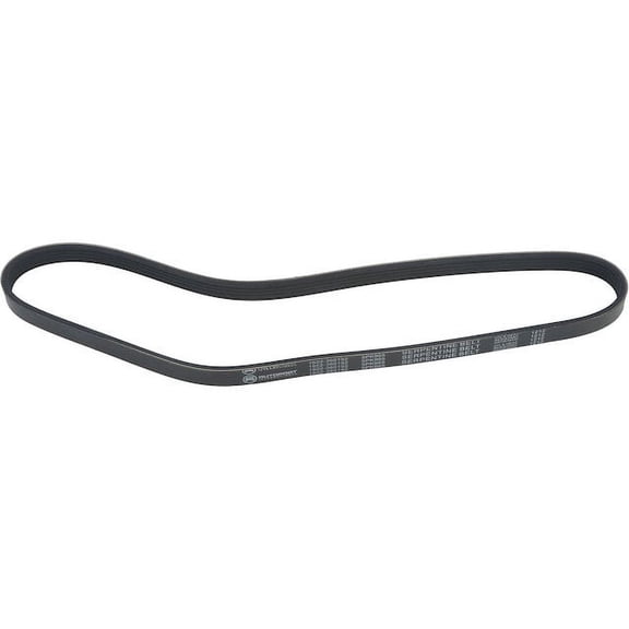 Multi Rib Belt - Compatible with 1996 - 1998 Acura TL 3.2L V6 1997