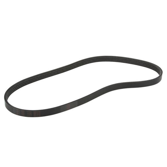 Multi Rib Belt - Compatible with 1996 - 2000 Honda Civic Coupe 1997 1998 1999