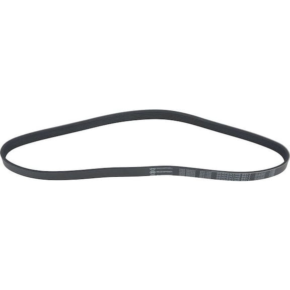 Multi Rib Belt - Compatible with 1998 - 2001 ES300 3.0L V6 1999 2000