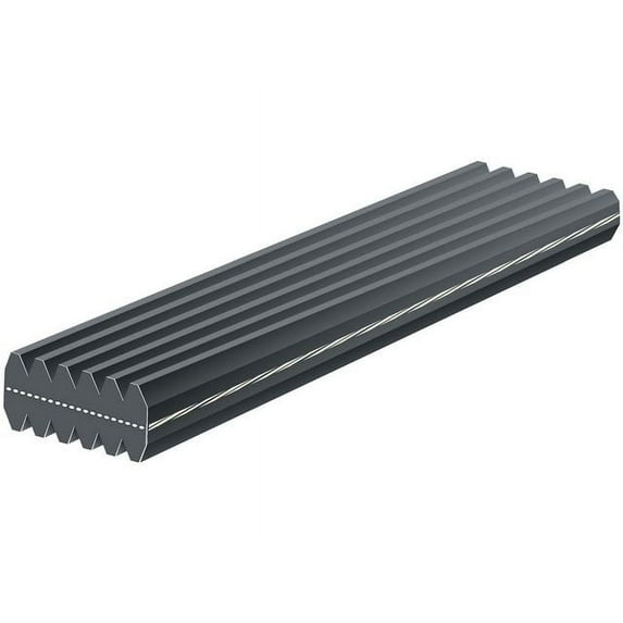 Multi Rib Belt - Compatible with 1998 - 2010 Volkswagen Beetle 1999 2000 2001 2002 2003 2004 2005 2006 2007 2008 2009