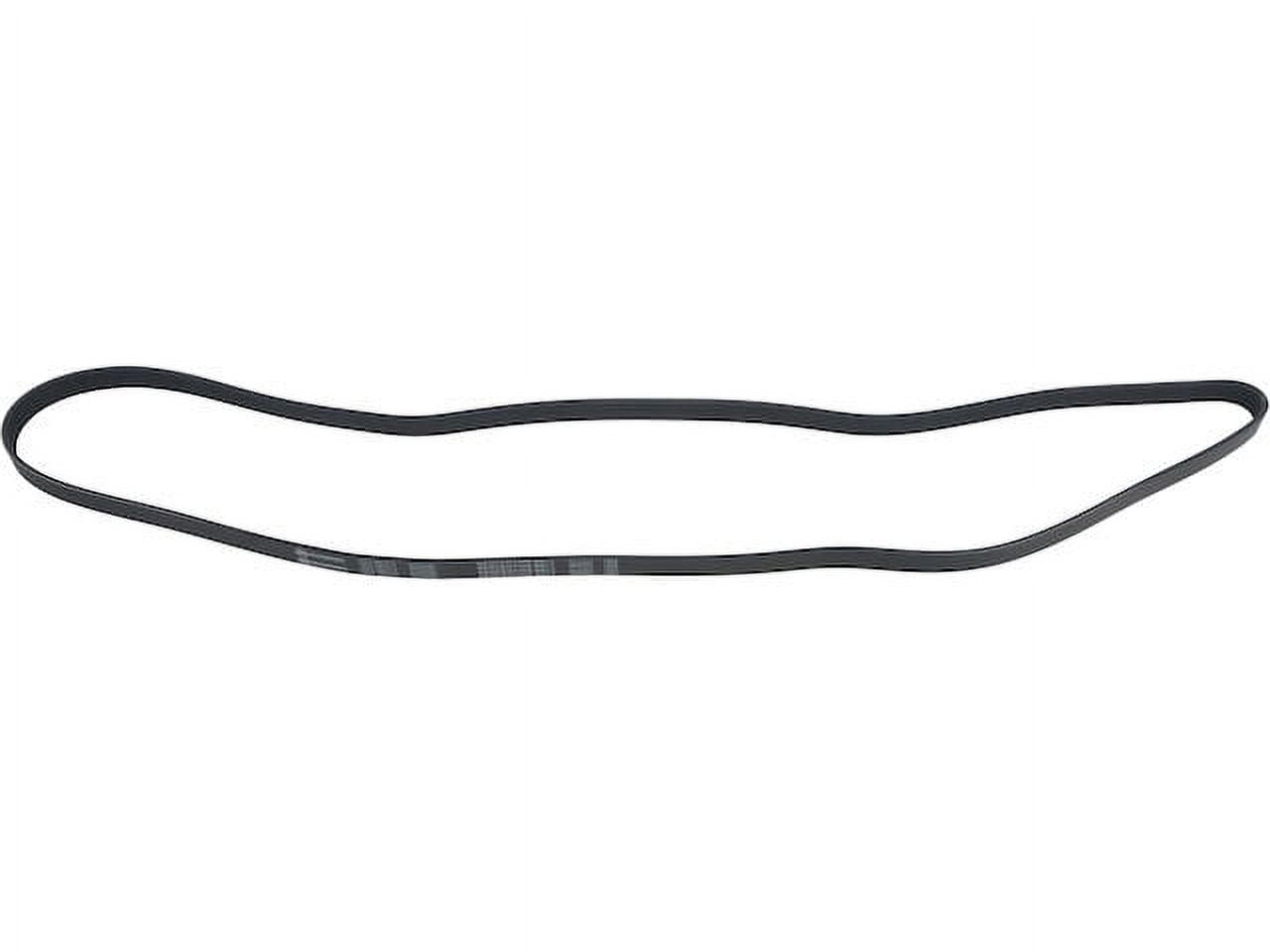 Nissan Murano Serpentine Belts - Advance Auto Parts