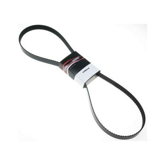Multi Rib Belt - Compatible with 2002 - 2005 Workhorse P32 8.1L V8 GAS 2003 2004