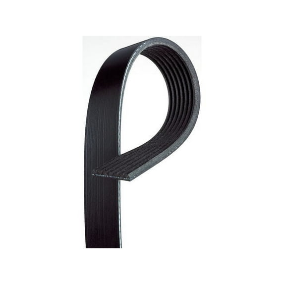 Multi Rib Belt - Compatible with 2003 - 2011 Honda Element 2.4L 4-Cylinder GAS 2004 2005 2006 2007 2008 2009 2010