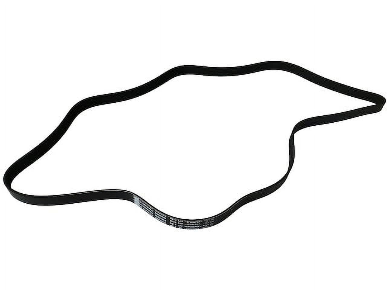 Multi Rib Belt - Compatible with 2005 - 2006 Scion tC 2.4L 4-Cylinder ...