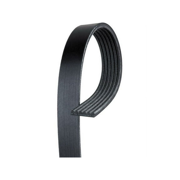 Multi Rib Belt - Compatible with 2007 - 2009 Toyota Tundra 4.7L V8 GAS 2008