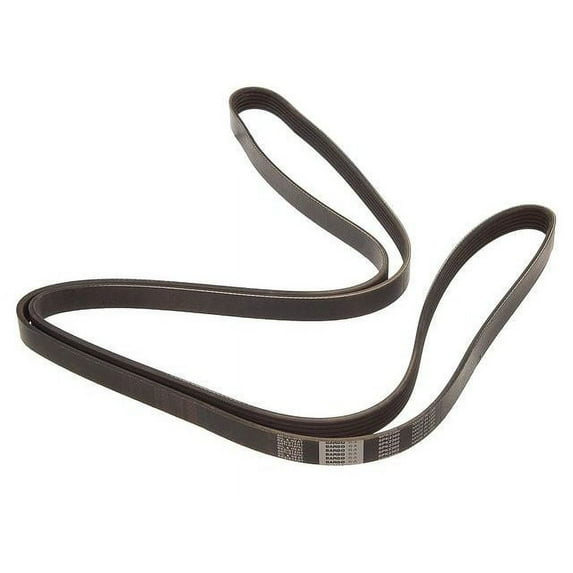 Multi Rib Belt - Compatible with 2007 - 2011 Mercedes-Benz CLS63 AMG 2008 2009 2010