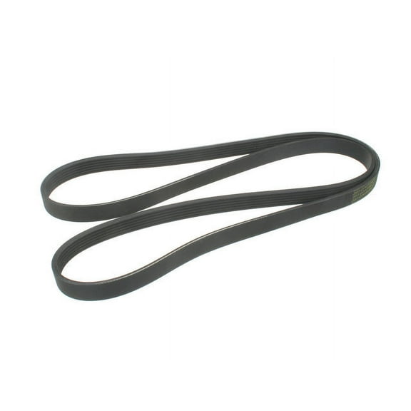 Multi Rib Belt - Compatible with 2012 - 2023 Ford Mustang 2013 2014 2015 2016 2017 2018 2019 2020 2021 2022