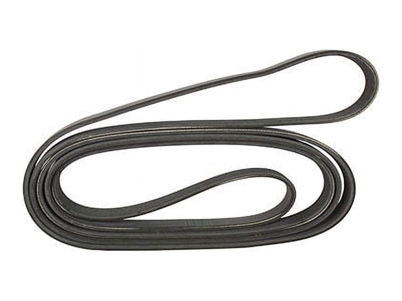 Multi Rib Belt - Compatible with 2015 - 2019 Ford Transit-250 3.2L 5 ...