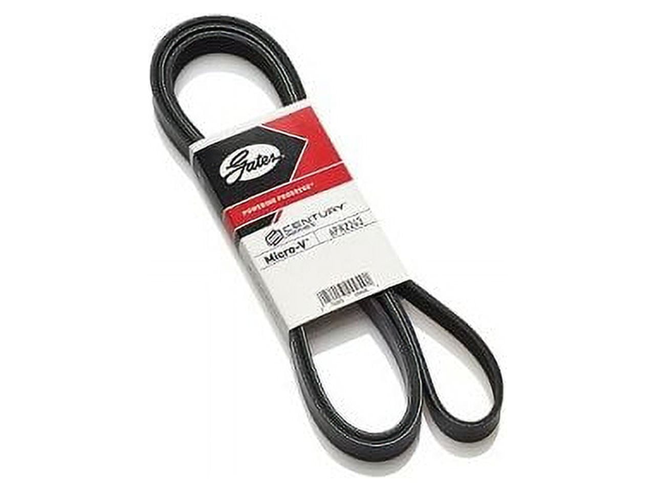 ベッドフォード/19aw twin top belt Multi Rib Belt - Compatible with 2018 - 2021 Ford EcoSport