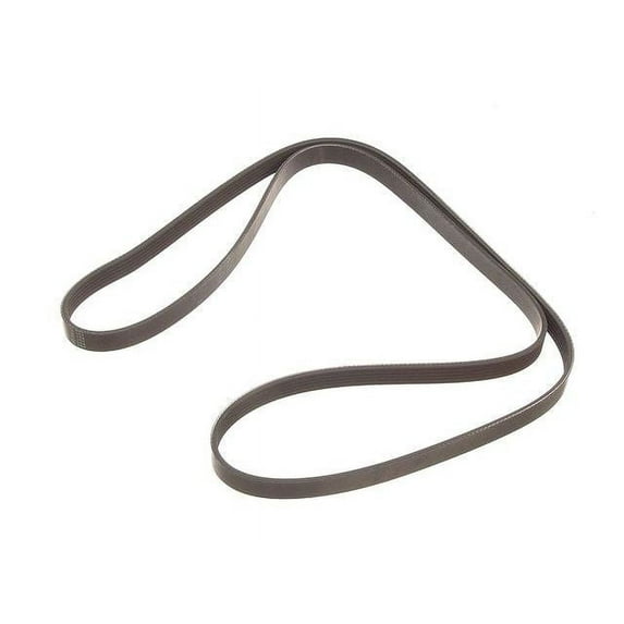 Multi Rib Belt - Compatible with 2018 - 2022 Alfa Romeo Stelvio 2.0L 4-Cylinder 2019 2020 2021