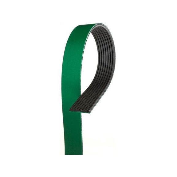 Multi Rib Belt - Compatible with 2020 - 2023 International MV607 6.7L 6-Cylinder Diesel 2021 2022