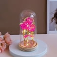 thumbnail image 1 of Multi-Stem Preserved Light-Up Rose in Glass/Plastic Dome | Colorful Eternal Rainbow Rose Night Light | Romantic Gift for Mom, Wife, Her | Valentine’s Day, Anniversary, Birthday Decor, 1 of 3