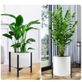 thumbnail image 1 of Multi-Tier Plant Display Rack, 9.1 to 12.6 Inches Flowerpot Holder for Living Room, Garden, or Office, Elegant Home Plant Rack for Indoor and Outdoor Décor, 1 of 7