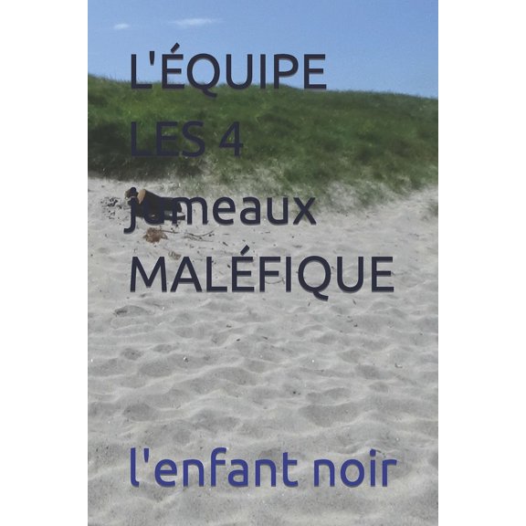 Multi-Univer: L'QUIPE LES 4 jumeaux MALFIQUE (Paperback)