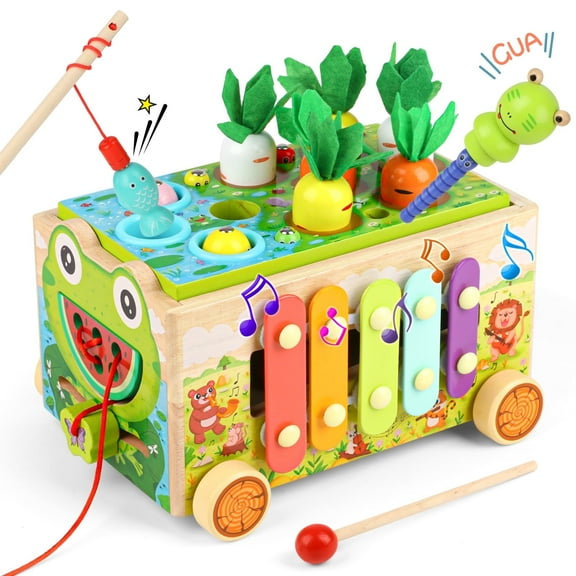 Flooyes Montessori Wooden Push Cart Toys, Shape Sorting & Color Toy Set Gift For Kids 36M+