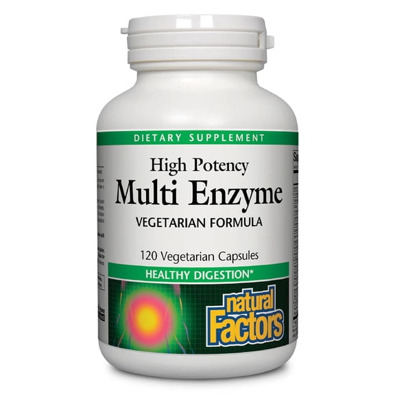 Natural Factors High Potency Multi Enzyme Vegetarian Formula, Plant-Based Digestive Aid, 120 Capsules
