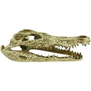 MultiPet 784369933161 Komodo Alligator Skull Hideout Pet Toy - 9 in.