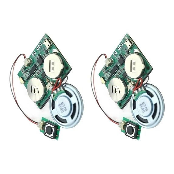 MultiPlatform Programmable Sound Recording Module 4MB USB Charging Data Port
