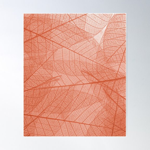 Multicolor Abstract - Bold Rainbow Poster Wall Art, Modern Wall Decor For Living Room Bedroom, 8x12 UNFRAMED