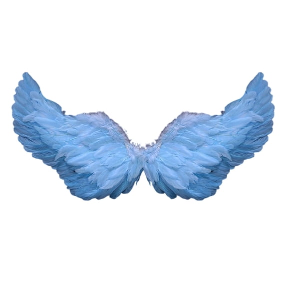 Multicolor Carnival Angel Feather Floating Wings Mardi Gras Feather Fairy Wings with Elastic Straps Masquerade Party Supply Photo Props for Gifts Favors Birthday Wedding(G,31.49x15.74 Inch)