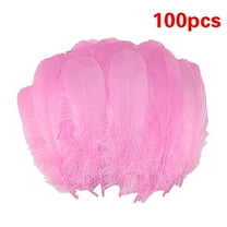 Multicolor Craft Feathers Bulk - 100Pcs 5-7 Inch Real Goose Feathers for DIY Halloween Christmas Decorations, Jewelry,Cosplay and Party Costume Clothing Accessories(Pink,6x1")
