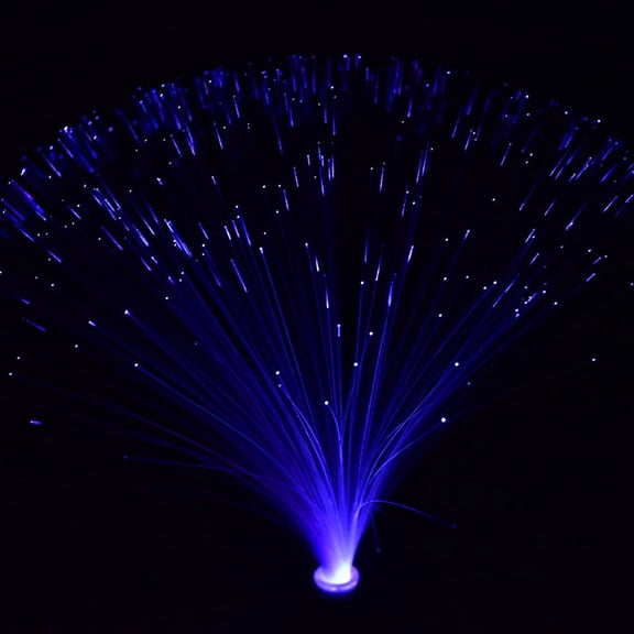 Multicolor LED Fiber Optic Light Night Lamp Christmas Wedding Holiday Home Decor