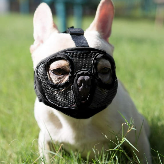 Multicolor Short Snout Dog Muzzle- Adjustable Breathable Mesh Bulldog Muzzle for Biting Chewing Licking Grooming Dog Mask