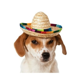 Sombrero hat for dogs new arrivals