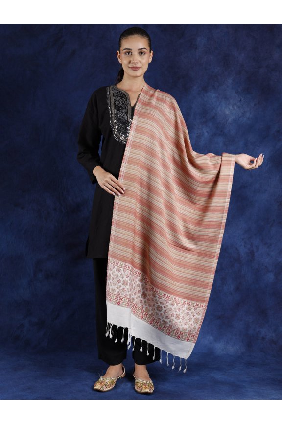 Multicolor Stripe Pattern Stole from Punjab with Woven Motifs – Sand