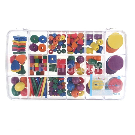 Creatology Multicolor Wood Crafting Kit