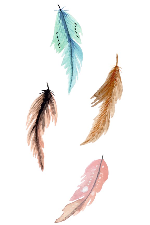 Multicolored Plant Leaves Flowers & Bird Feathers Decor 14" x 20" Vinyl Adhesive Nursery Living Room Wall Decal - Removable Home Kids Bedroom Art Animal Bird Plumes With Patterns Design Wall Sticker