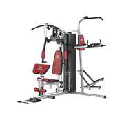 Multifunctional Home Gym 118lb Weight Stack Machine with Pulley System, Arm Press Frame, Leg Developer, Power Tower and Stepper, Dual Station Workout System for Total Body Training
