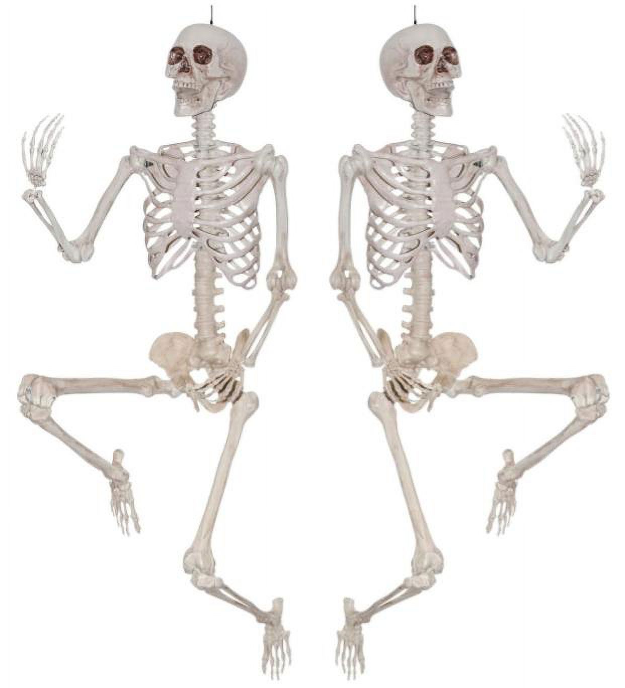 Multipack Way to Celebrate, Halloween Posable Human Skeleton