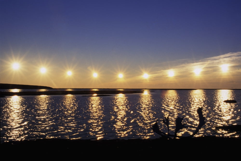 Multiple Exposure Of Arctic Midnight Sun Moving Across Horizon Over Arctic Coast Anwr WSilhouette Antlers Canvas Art - Jo Overholt Design Pics (34 x 22)
