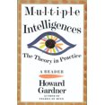 thumbnail image 1 of Pre-Owned Multiple Intelligences: The Theory in Practice (Paperback) 046501822X 9780465018222, 1 of 1